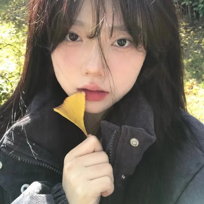 光环第二季